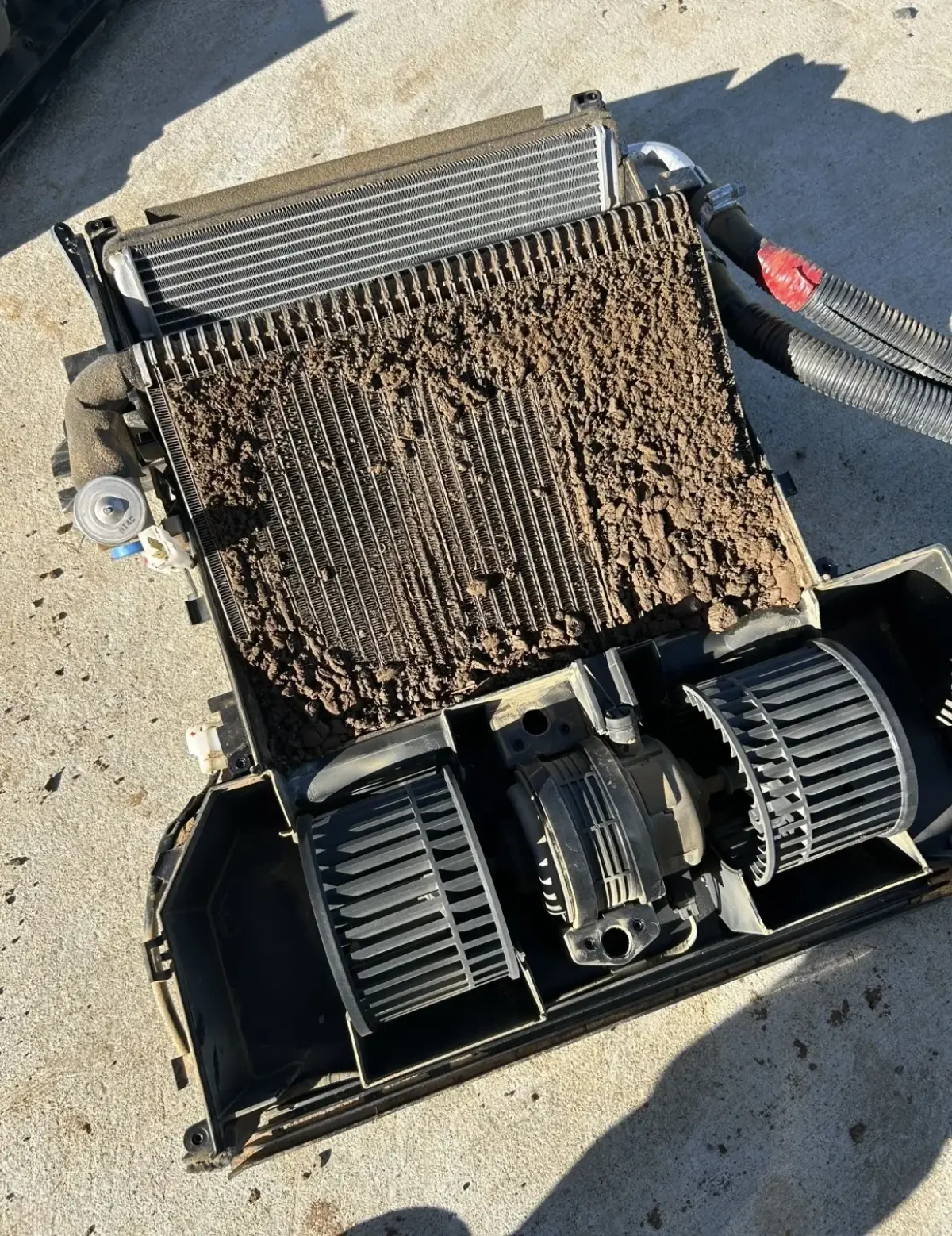 Heavy diesel machinery electrical overhaul and system repair Auckland